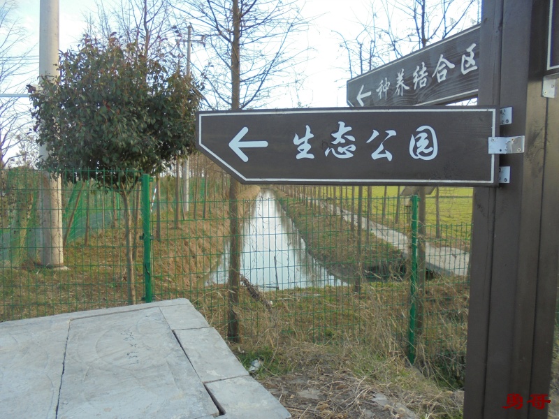 游遍上海公园-奉贤区-张塘村生态公园