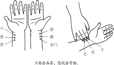 我学的不是传统的中医,而是外公陆氏中医世家的手法从望(望行观