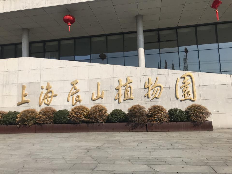 上海辰山植物园2022新春花展