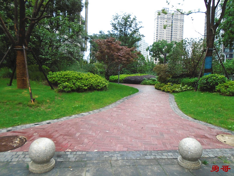 游遍上海公园-黄浦区-董家渡路口袋公园