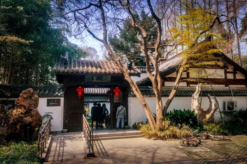 周游上海 — 上海植物园兰室