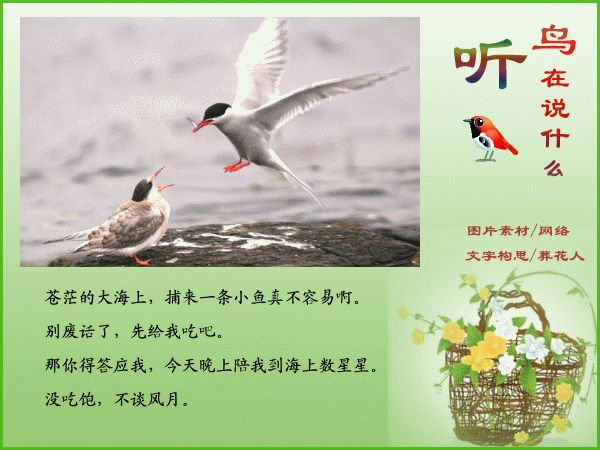 什么树鸟成语_成语故事图片(3)