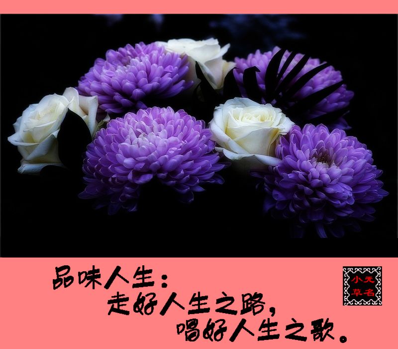 品味人生:走好人生之路,唱好人生之歌.