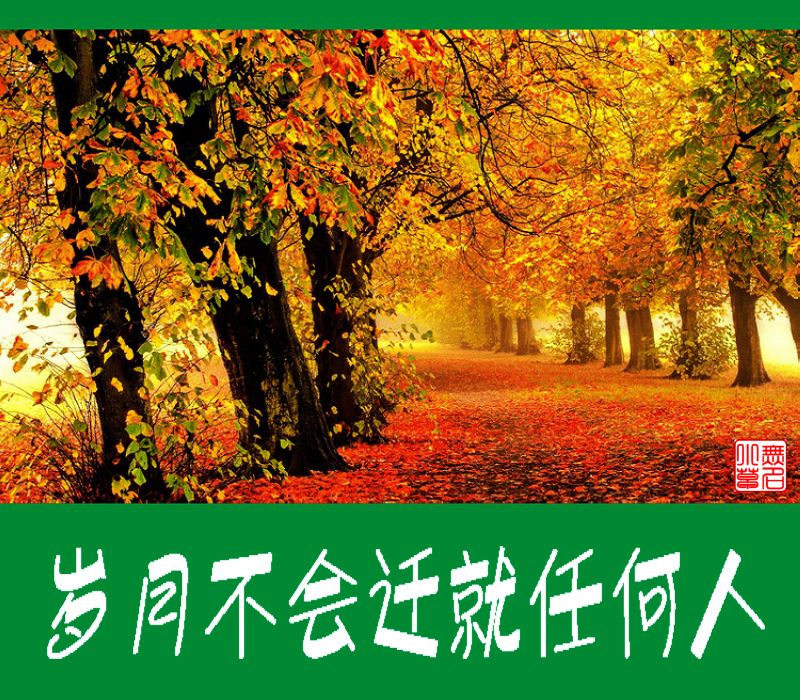 【原创】岁月不会迁就任何人