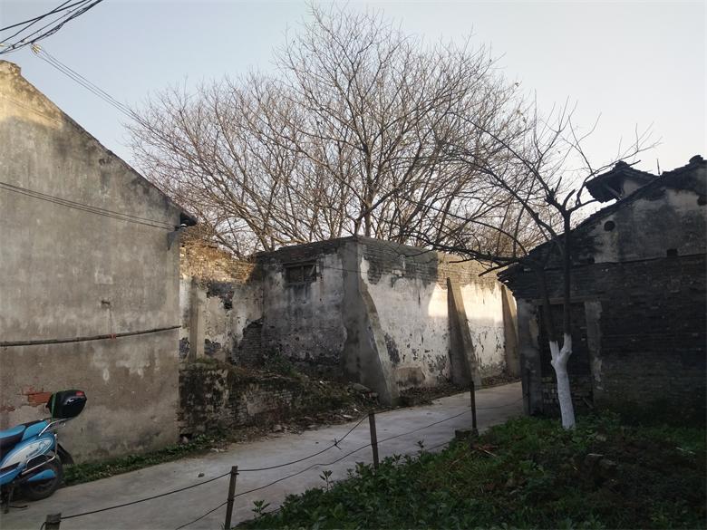 独行后岗老街