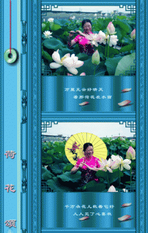 荷花颂(大图音画)