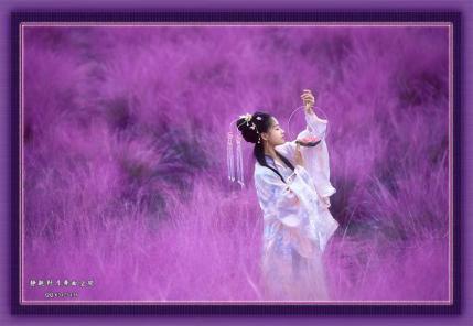 精彩精选 广场舞更新580首片段（静观对月专用播放器）