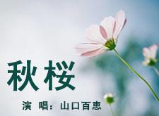 【怀旧经典】秋桜 / 山口百恵