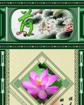 荷花大图