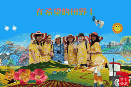 日志插入音乐代码