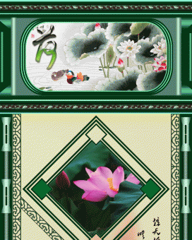 大图音画－荷花