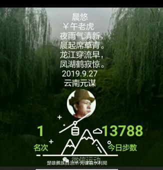 晨悠