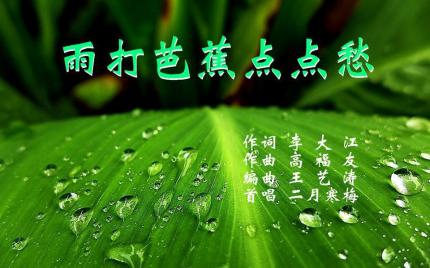 《雨打芭蕉点点愁》二月寒梅