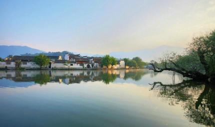 音画组件制作(26)背景：单图+动画