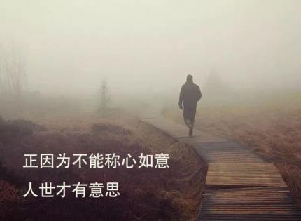 正因为不能称心如意，人世才有意思。