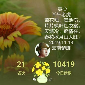 赏心