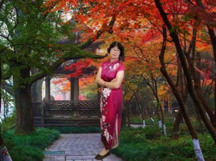 上海植物园秋色景彩【手机篇】