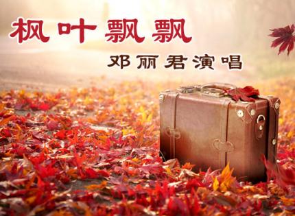 枫叶飘飘  /  邓丽君