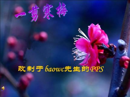 一剪寒梅