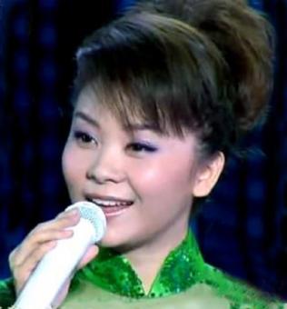 童丽演唱歌曲15首