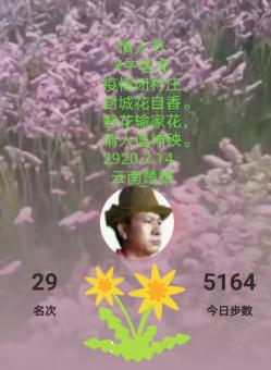 情人节