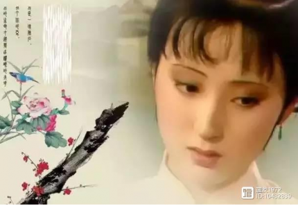 【莲友音画】★ 红楼梦歌曲专辑