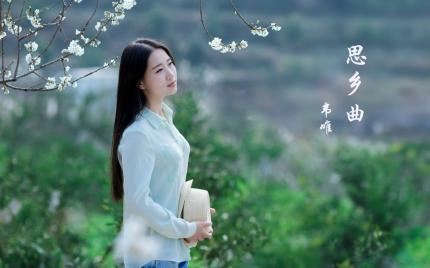 《思乡曲》韦唯