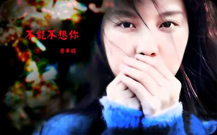 《不能不想你》蔡幸娟