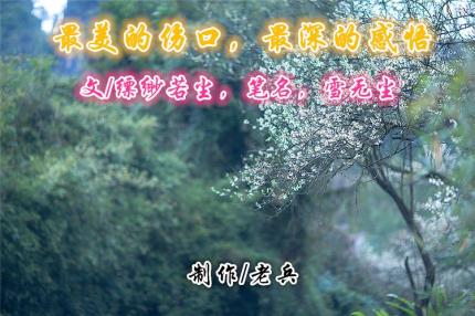 (LRC音乐美文)最美的伤口，最深的感悟