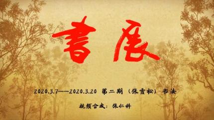 同学张雪松老师 书写作品视频二集【静观对月合成】