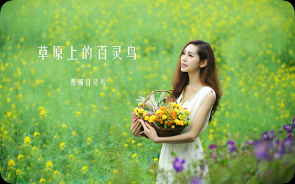 《草原上的百灵鸟》费娜百灵鸟