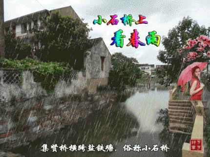 小石桥上看春雨