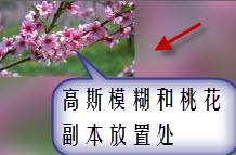 PS单图动画—花海教材