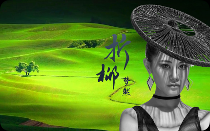 《折柳》梦然