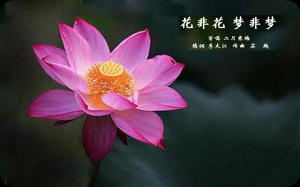 《花非花梦非梦》二月寒梅
