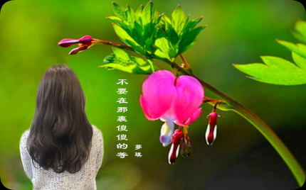 《不要在那里傻傻的等》梦琪