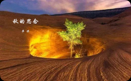 《秋的思念》梦琪