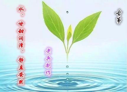 (古筝)《水》甘甜润泽，静且安然