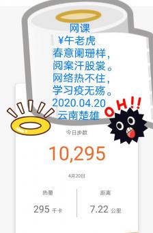 网课