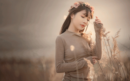 《风中芦苇荡》陶静