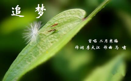 《追梦》二月寒梅
