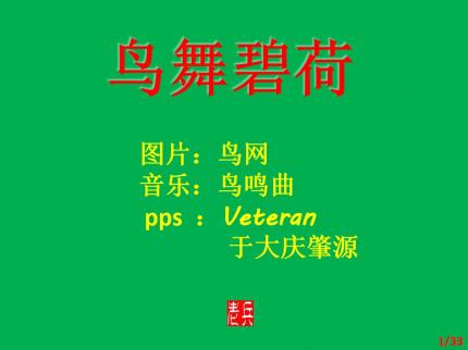 鸟舞碧荷