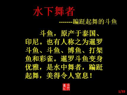 水下舞者-------翩翩起舞的斗鱼
