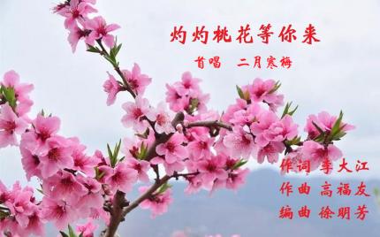 《灼灼桃花等你来》二月寒梅