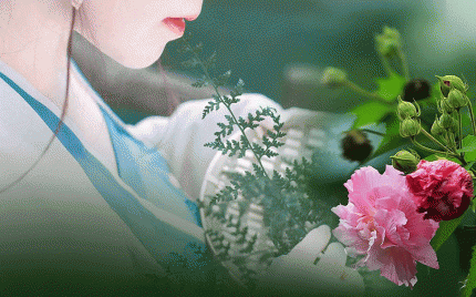《红尘恋恋芙蓉花》流苏  烟圈