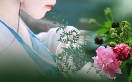 《红尘恋恋芙蓉花》流苏 烟圈