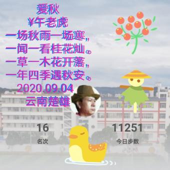 爱秋