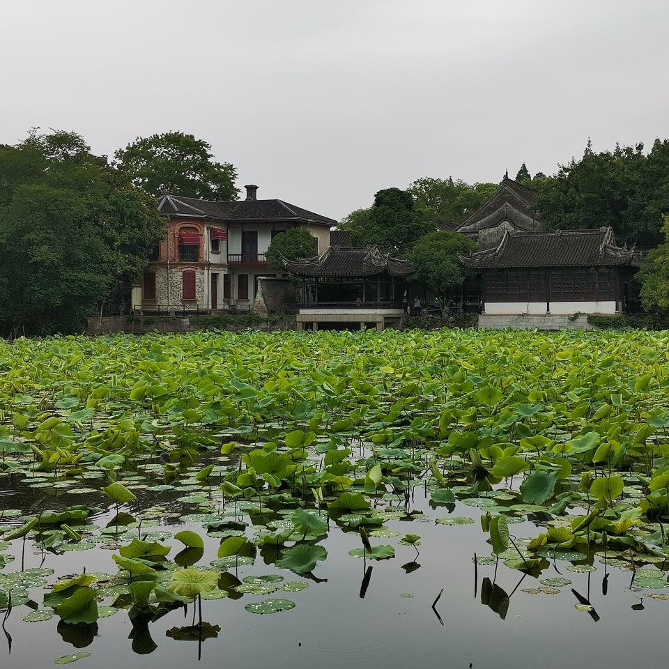 寻访湖州南浔古镇(一—小莲庄|老小孩讲述