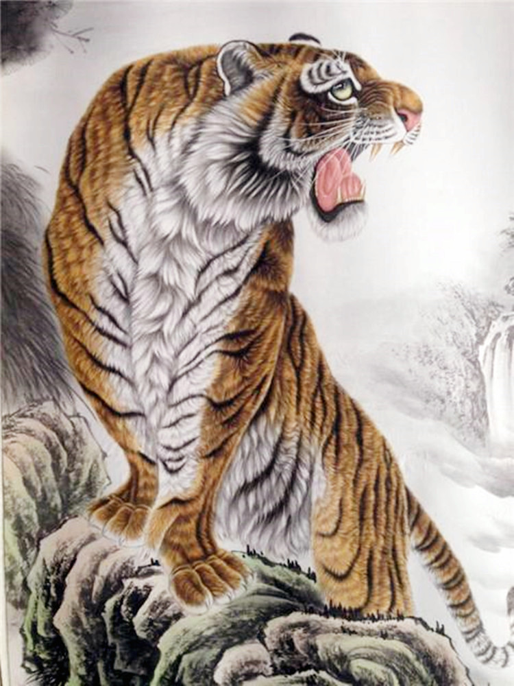老虎的画像家中图片