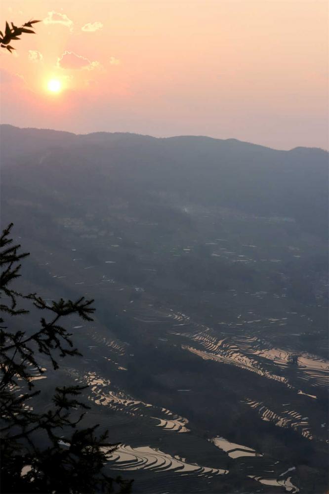 原創夕陽西下的壩達元陽梯田之三